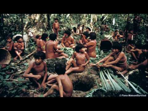 Connecting our dynamic gut microbiomes to the brain- Rob Knight, UC San Diego