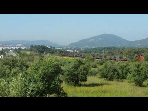 Comboio Siderúrgico n.º 65082/3 - Vale de Mulatas (2)