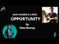 Opportunity by Pete Murray - EASY Guitar Chords and Lyrics
