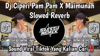 Download lagu DJ CIPERI PAM PAM SLOWED REVERB - DJ VIRAL TIKTOK TERBARU 2026 - PLAYLIST DJ OLD TRENDING TIKTOK 🎧 mp3