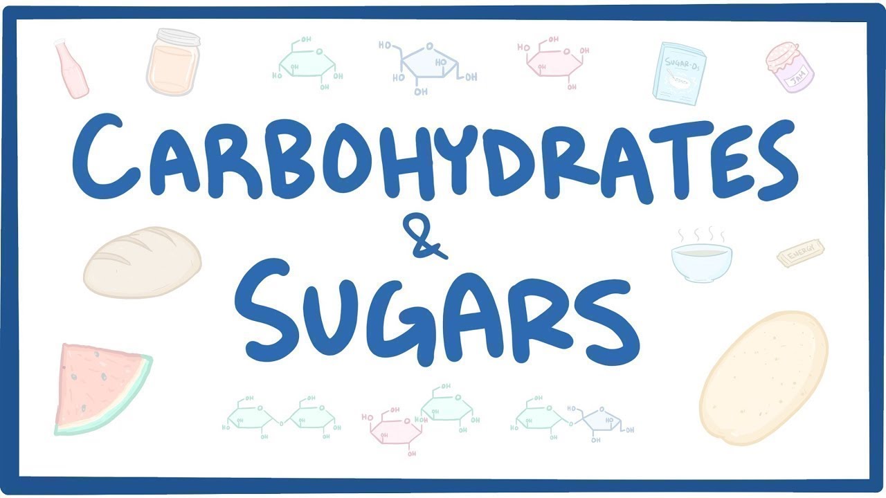 Carbohydrates & sugars - biochemistry