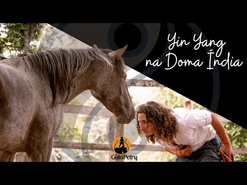 Yin Yang na Doma Índia - com Guto Petry