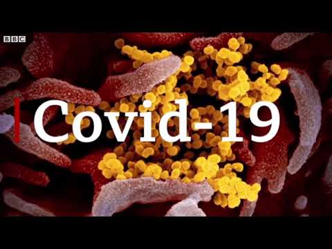 Coronavirus explained in 60 seconds