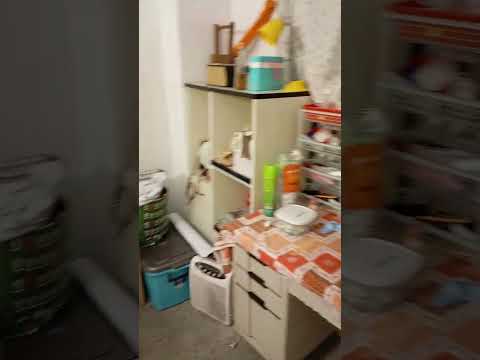 照片