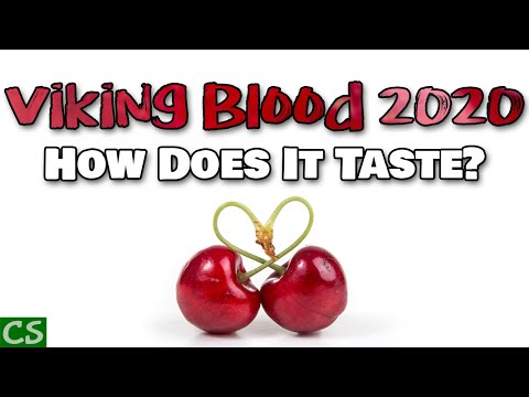 Viking Blood 2020 - Let's TASTE this, shall we?