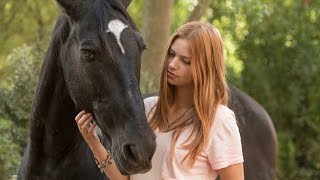 Windstorm and the Wild Horses