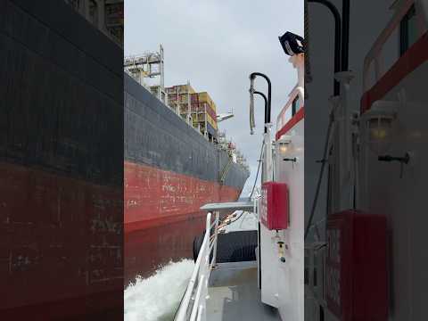 Big and empty      #ship #tariffs