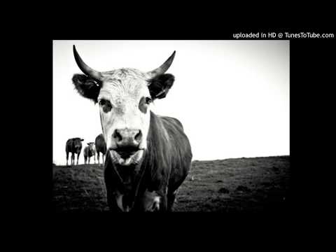 Today's Tango Is... El Buey Solo - Julio De Caro 19-12-1929