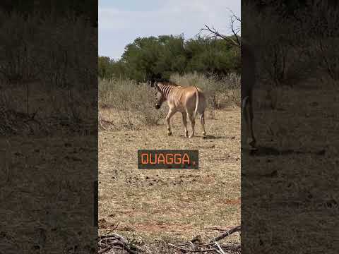 When Will Colossal Bring Back Dinosaurs?