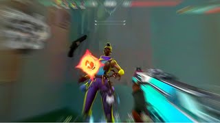 イモータルレイズ専のブラパキャラコンキル集#12【VALORANT】