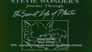 Stevie Wonder - Black Orchid