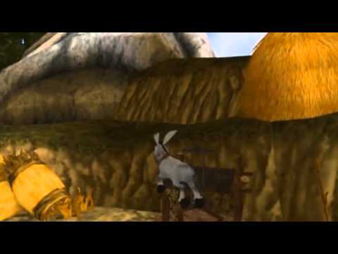 Donkey Xote Playstation 2
