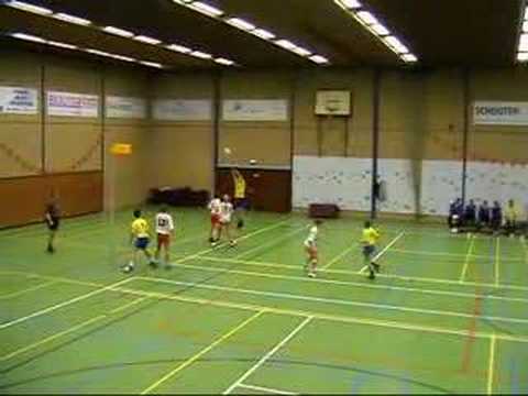 Kinderdijk 1 - Weidevogels