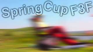 Spring Cup F3F Poland 2013