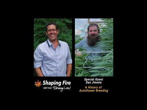Shaping Fire Ep. 73 - A History of Autoflower Breeding with guest Dan Jimmie