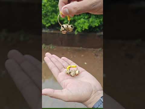 Aarati Ghungro