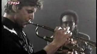 Miles Davis (Dingo 8)