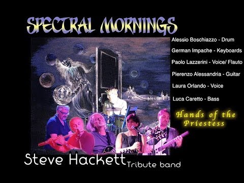 "Spectral Mornings" Steve Hackett tribute band -Hands of the Priestess- 14 Sett.2017 Torino