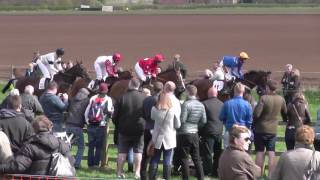 Charm Park - Mixed Open - Talkonthestreet, Billy Garity 2017