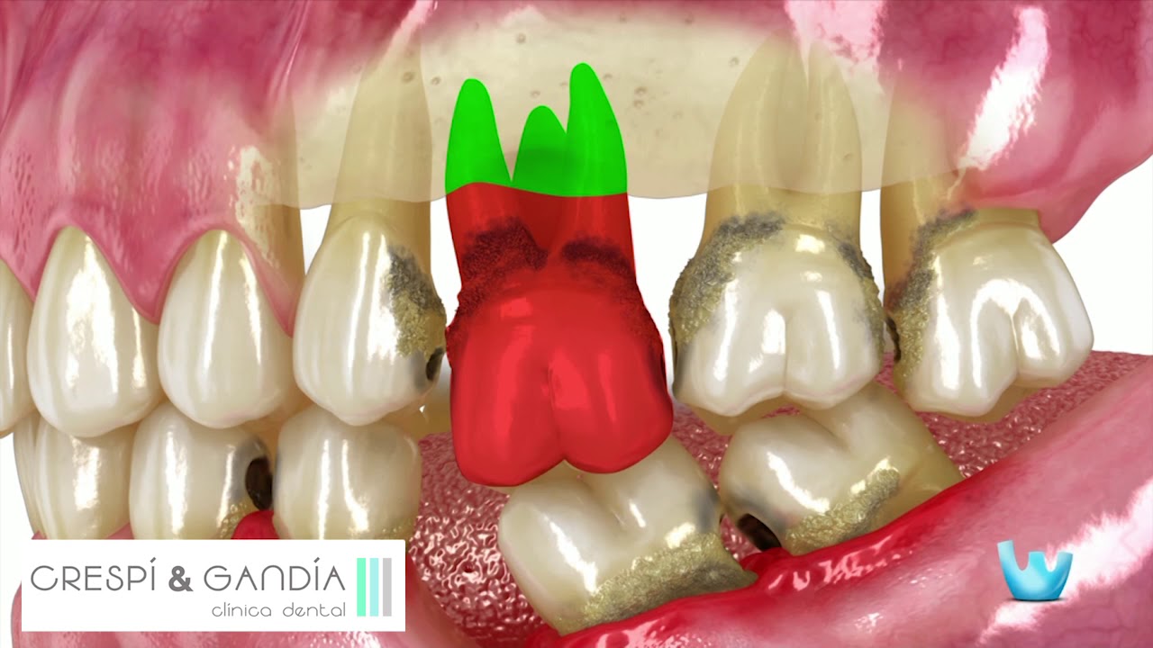 Vicente Gandía Aguiló-16