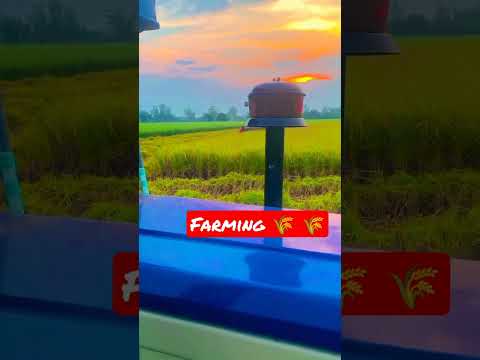 🌾🌾farming life #video 🏞️#viral #video #viral #trending #hashtags topic।   #rinkuyadavUP31