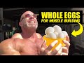 Nutrition to Build Muscle and Lose Fat (Protein in Whole Egg)