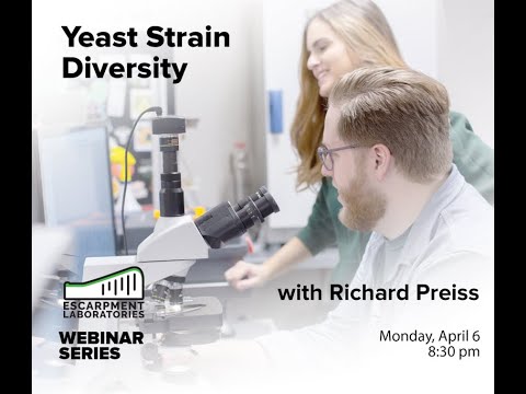 Comparison of 60+ Beer Brewing Yeasts