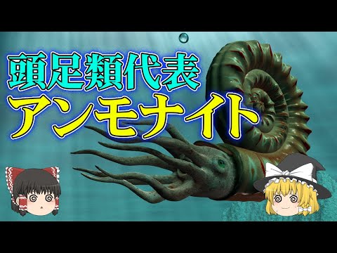 頭足類 (系統分類)について詳しく解説