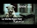 La Vie Ne Ment Past [Remix] Music 🎶