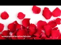 St Valentine's Day: Romantic Love Piano Music ...