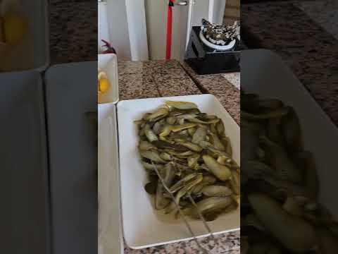 Videos del Ramira Beach 4★ en Avsallar, TurquíaVer MásVerPrecios18CerrarConsulta por Whatsapp 🇦🇷BookingTripadvisorExpediaAgodaTravelocityOrbitzPricelineTripSkyscannerDespegarKayakHotelesDestiniaTrivagoTurismocityLastminuteHotwireTui