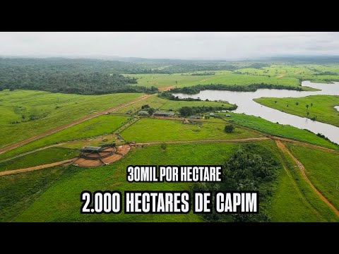 FAZENDA À VENDA EM TRAIRÃO-PARÁ