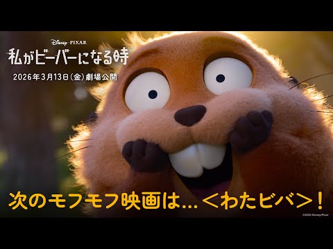 次のモフモフ映画は…＜わたビバ＞🦫！