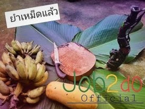 ยำแหม็ดแล้ว  JOB2DO [Official]