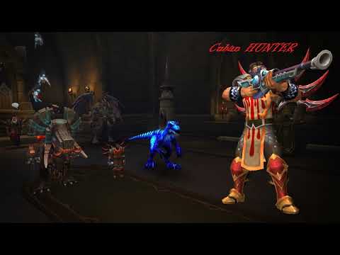 Survival hunter wow 9.2.5 PvP arenas 2.1+ rating