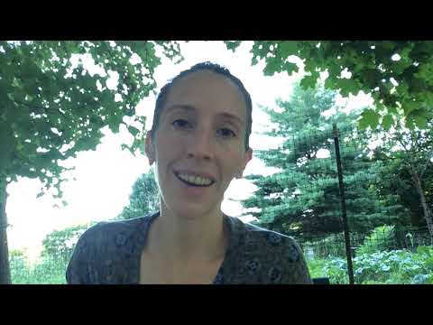 9th Sunday after Pentecost