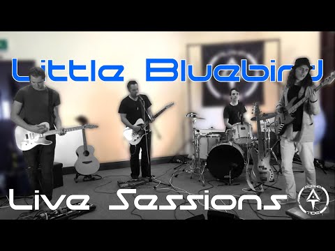 Alpha Tide - Little Bluebird [Live Sessions]