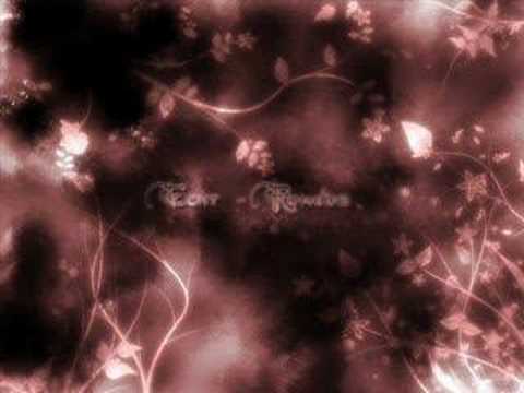 Romeos - Echt