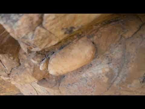 Montagu - Beating Around the Bush