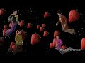 The Strawberry Fields