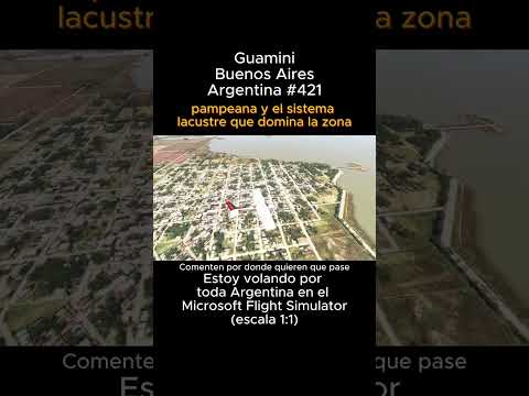 Guamini, Buenos Aires desde el Microsoft Flight Simulator #guamini #buenosaires #msfs #joaha45