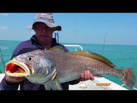 download lagu mp3 mp4 Darwin Fishing Charters Barramundi, download lagu Darwin Fishing Charters Barramundi gratis, unduh video klip Darwin Fishing Charters Barramundi
