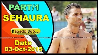(1) Sehaura (Ludhiana) Kabaddi Tournament 3 Oct 2015