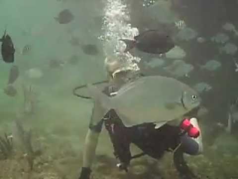 Scuba Diving Escambron Puerto Rico
