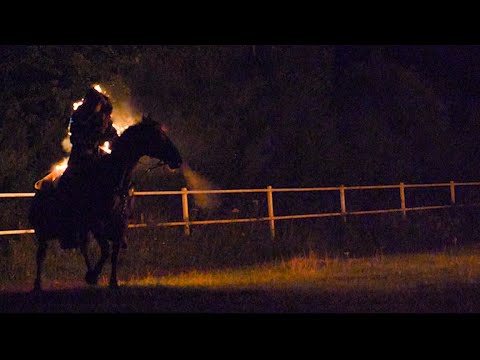 FILM O DWÓCH NIESAMOWITYCH RASACH KONI