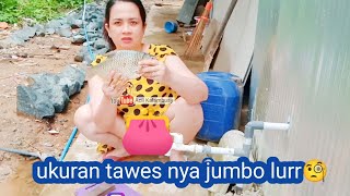 Download lagu Ikan tawes dalam sarang terciduk.. π§π§π§ mp3 Download lagu Ikan tawes dalam sarang terciduk.. π§π§π§ mp3
