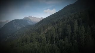 Envig Music Video