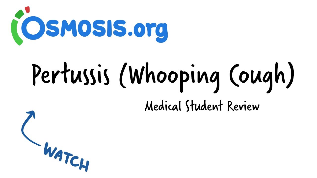 Pertussis (Whooping Cough) | Osmosis Study Video