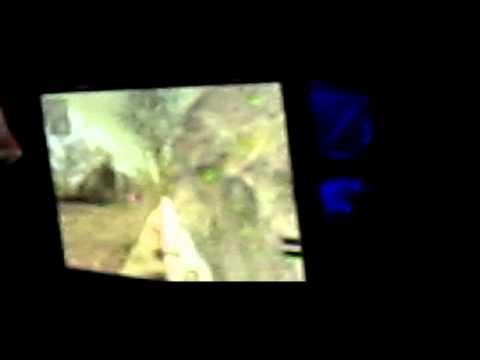 Paranoia e-Sports in Winter Assembly 2011