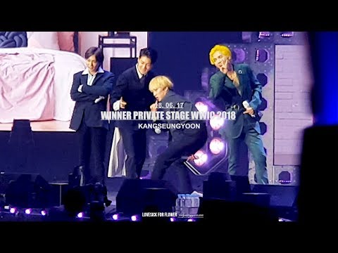 180617 WWIC2018 2부 위너 강승윤 직캠 - EVERYDAY 2배속 댄스